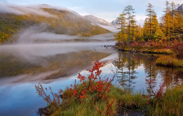 Картинка осень, природа, туман, утро, хребт Большой Аннгачак, озеро Невидимка