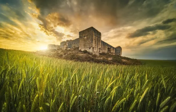 Природа, утро, Seville, Alhonoz Castle