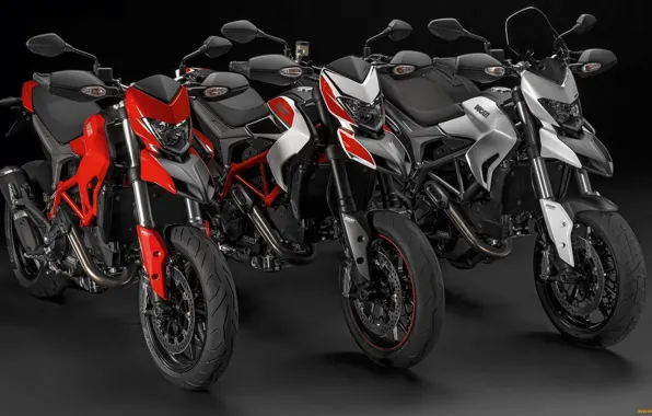 Мотоциклы, мото, Ducati