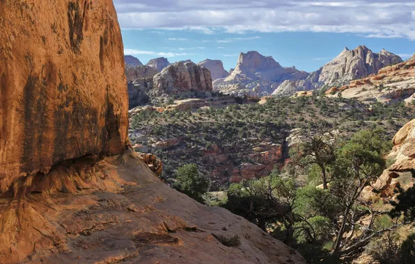 Картинка Zion National Park, trees, landscape, nature, mountains, clouds, rocks, plants