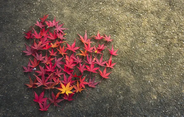 Осень, листья, любовь, сердце, love, heart, wood, background