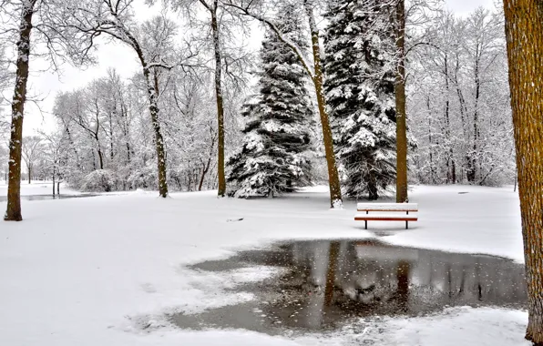 Картинка зима, пейзаж, парк