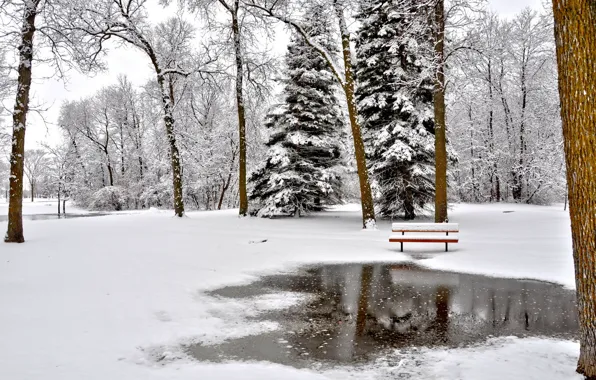 Зима, пейзаж, парк