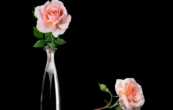 Картинка glass, vase, roses, petal, cristal