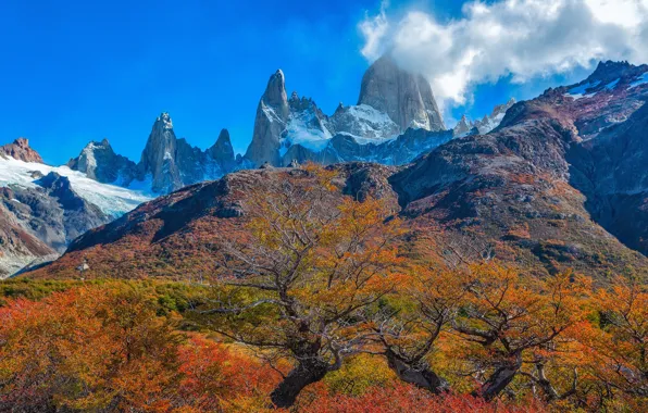 Картинка Аргентина, снег, горы, деревья, Санта-Крус, осень, облака, вершина