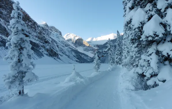 Картинка зима, дорога, снег, деревья, горы, ели, Канада, Альберта
