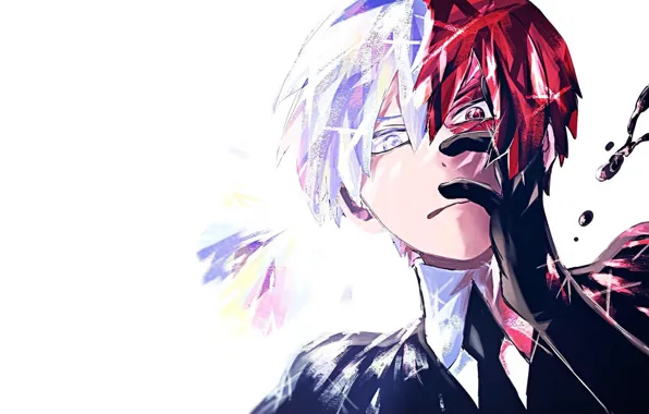 Fanart, Boku no Hero Academia, Todoroki Shouto, Artist Request, Houseki no Kuni (Cosplay), Houseki no …