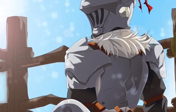 Доспехи, рыцарь, Goblin Slayer