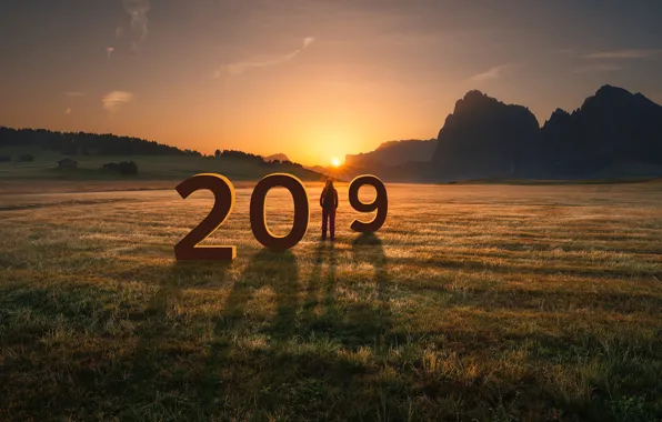 Картинка поле, солнце, Новый год, 2019