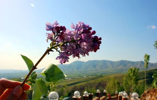 Цветок, небо, пейзаж, горы, природа, холмы, рука, красиво