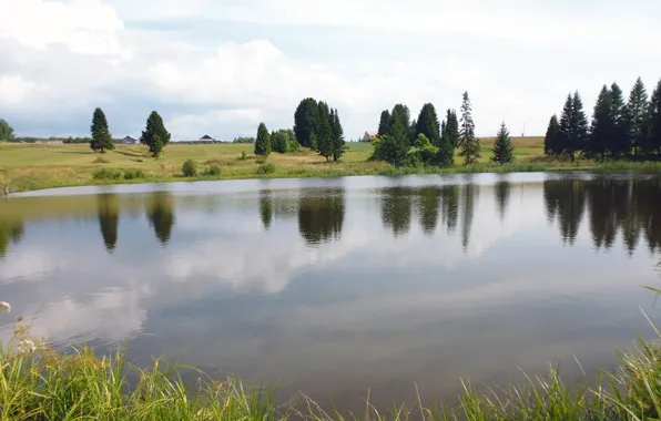 Картинка поле, небо, вода, природа, пруд, деревня