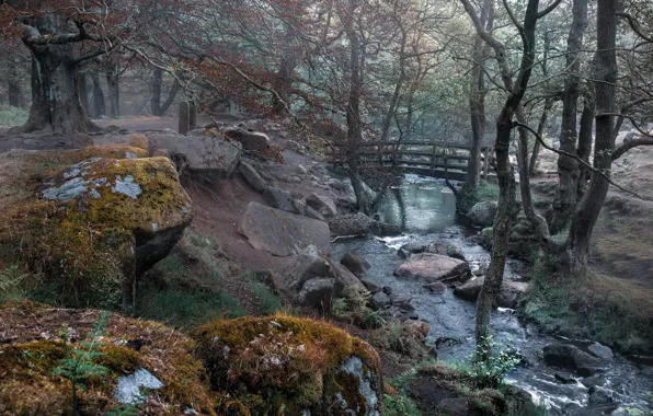 Картинка мост, природа, парк, речка, England, Derbyshire Dales District, Grindleford
