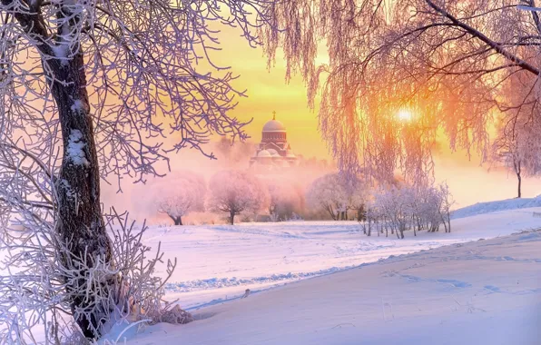 Картинка зима, иней, солнце, свет, снег, деревья, природа, храм