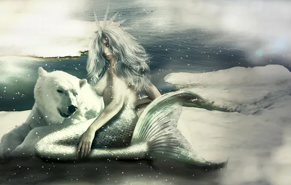 Картинка холод, взгляд, снег, фантастика, русалка, арт, хвост, белый медведь