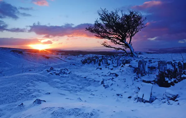 Зима, снег, горы, восход, дерево, рассвет, Англия, England