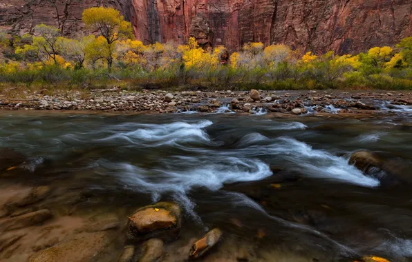 Осень, деревья, природа, река, скалы, поток, США