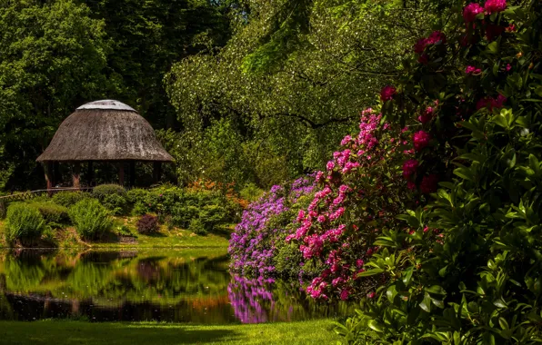 Картинка пруд, парк, Германия, беседка, Germany, Нижняя Саксония, Lower Saxony, рододендроны