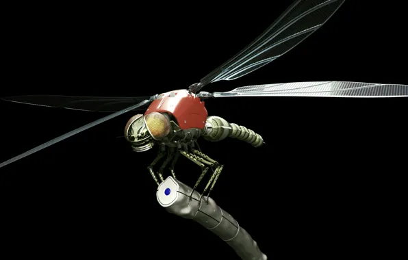 Картинка робот, стрекоза, dragonfly