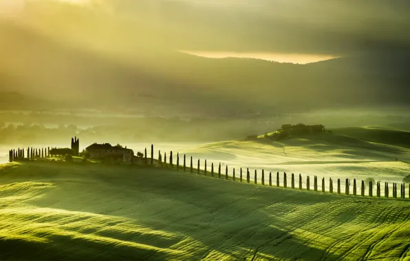 Картинка поле, пейзаж, туман, Italy, Tuscany