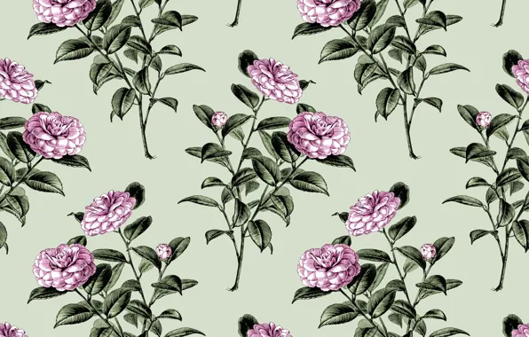 Цветы, фон, обои, Flowers, винтаж, Wallpaper, Vintage, Camellia