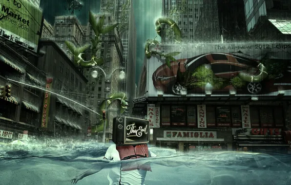 Картинка человек, здания, Вода, растения, телевизор, потоп