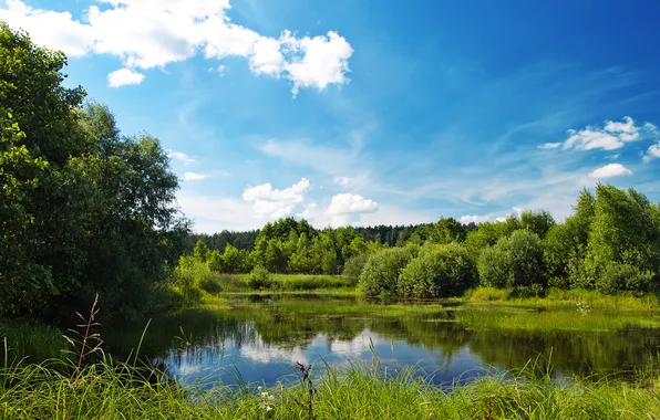 Трава, озеро, Лето, июль