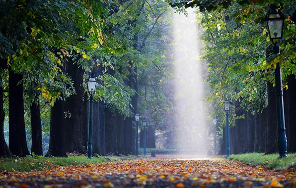 Картинка осень, парк, фонари, аллея, поток света