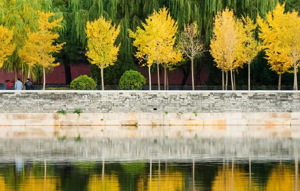Осень, листья, деревья, отражение, Китай, Пекин, Запретный город