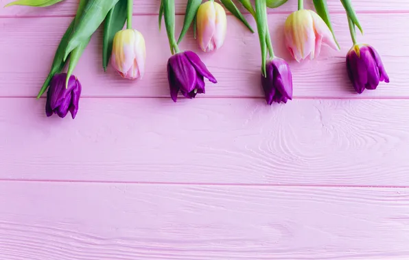 Цветы, тюльпаны, розовые, fresh, wood, pink, flowers, beautiful
