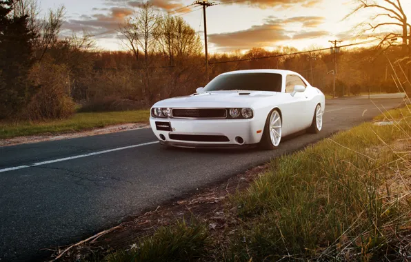 White, dodge challenger, muscle car, челленджер