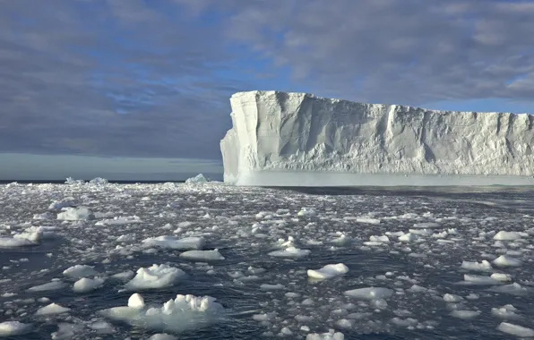 Картинка лед, море, вода, айсберг