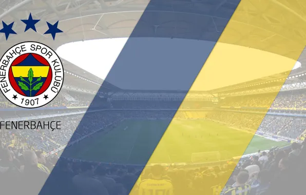 Wallpaper, sport, logo, stadium, football, Fenerbahce SK, Sucru Saracoglu