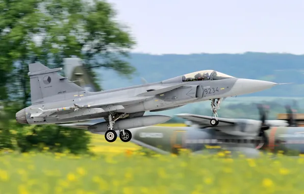 Saab, Gripen, Посадка, JAS 39, Шасси, ВВС Чехии, SAAB, Saab JAS 39C Gripen