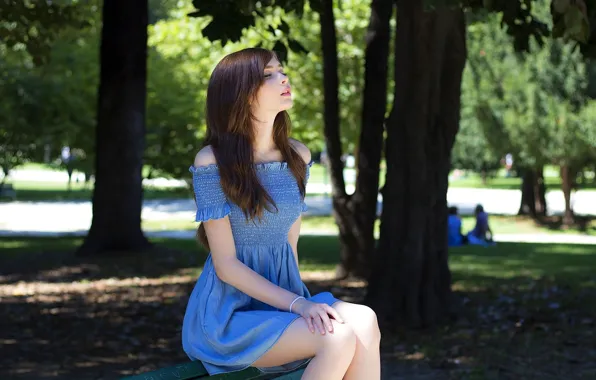 Картинка dress, trees, park, beautiful, model, people, women, brunette