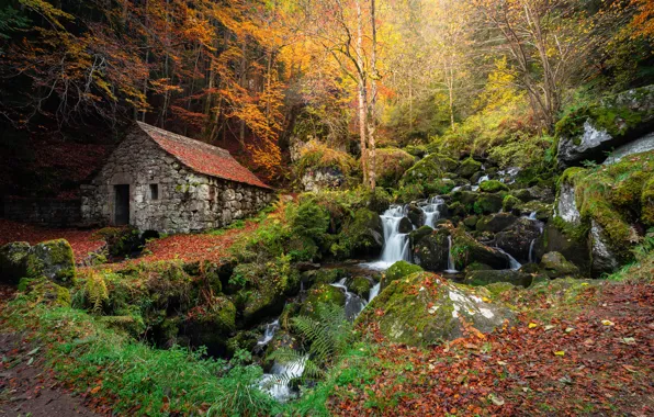 Картинка осень, лес, водопад, склон, домик
