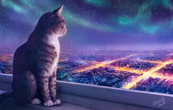 Огни, Ночь, Рисунок, Город, Звезды, Кошка, Кот, Арт