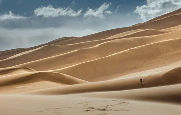Картинка песок, пустыня, человек