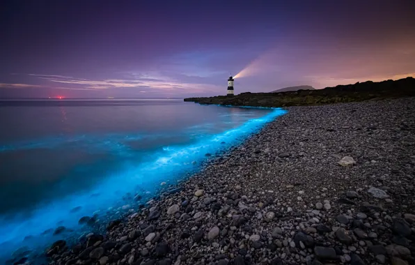 Sea, evening, lighthouse, bioluminescence