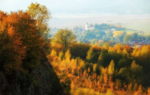 Осень, лес, церковь, домики