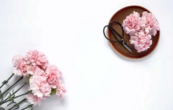 Цветы, розовые, wood, pink, гвоздика, flowers