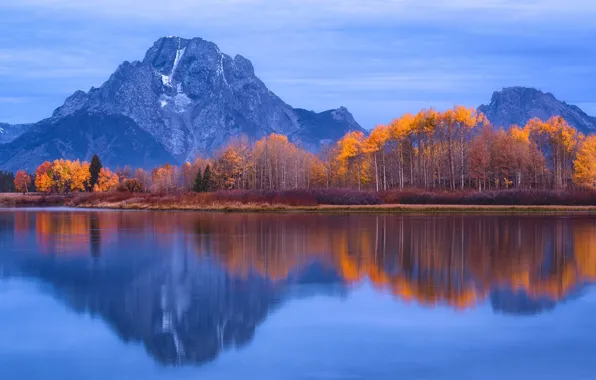 Осень, деревья, горы, озеро, отражение, Вайоминг, США, Гранд-Титон