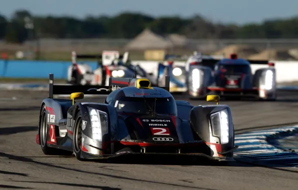 Audi, sport, Ultra, 12 Hours Of Sebring