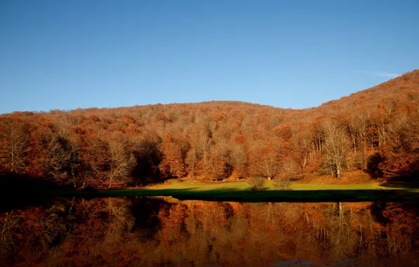 Картинка осень, лес, озеро, colors, forest, Autumn, lake, fall