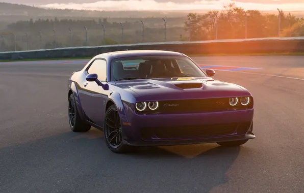 Dodge, Challenger, Widebody, Scat Pack, Challenger RT, 2019