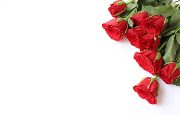 Цветы, розы, букет, красные, red, wood, flowers, romantic