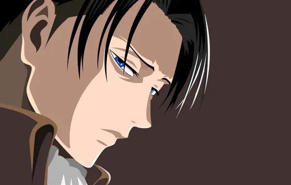Парень, Атака Титанов, Shingeki No Kyojin, Леви, капрал