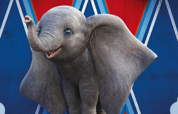 Глаза, слон, мультфильм, цирк, уши, хобот, слоник, Dumbo