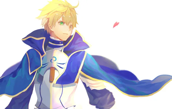 Лепесток, парень, Fate / Grand Order, Судьба великая кампания