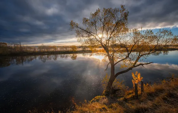 Картинка осень, солнце, лучи, пейзаж, природа, отражение, река, дерево