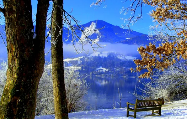 Картинка зима, небо, снег, деревья, горы, озеро, парк, скамья